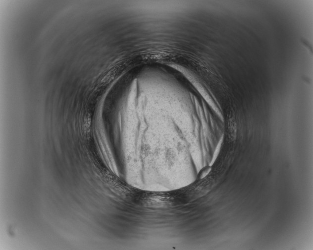 X0000101960657200808081529