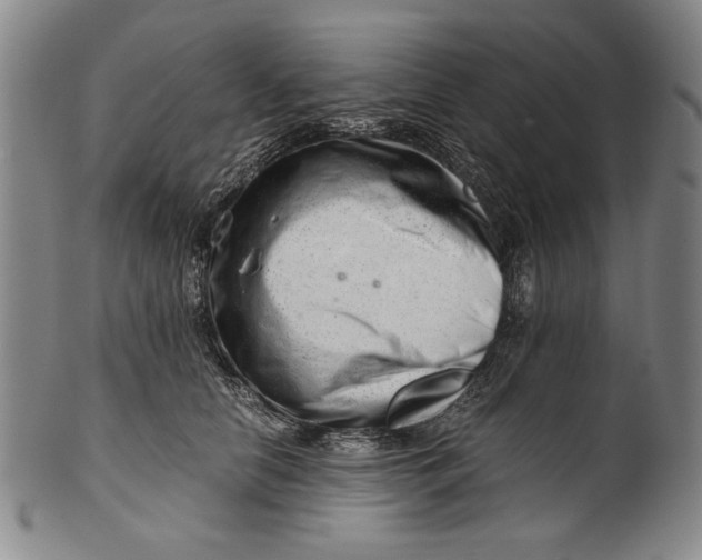 X0000101960658200808081529
