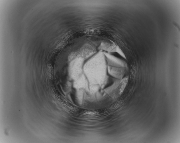 X0000101960659200808081529