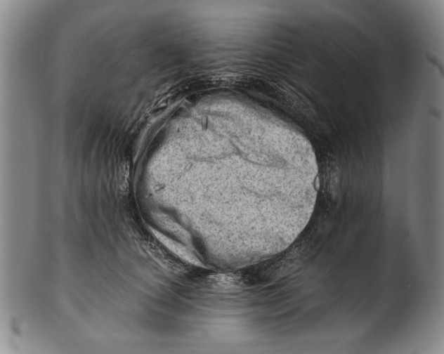 X0000101960660200808081529