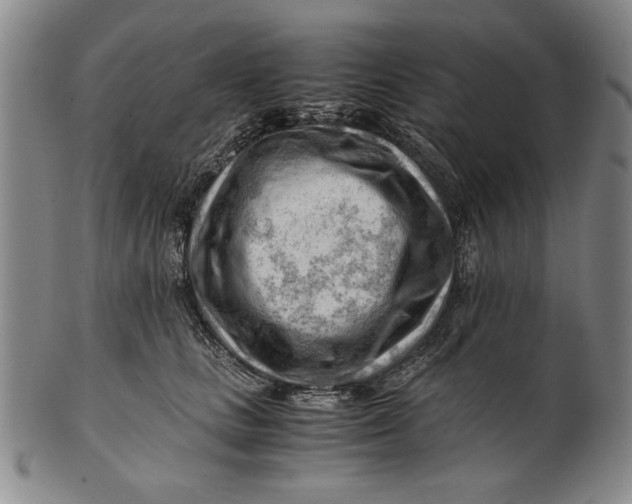 X0000101960661200808081529