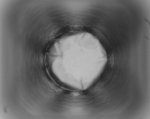 X0000101960662200808081529