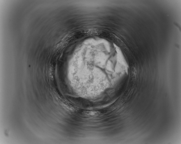 X0000101960663200808081529