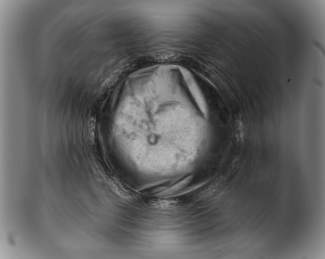 X0000101960664200808081529
