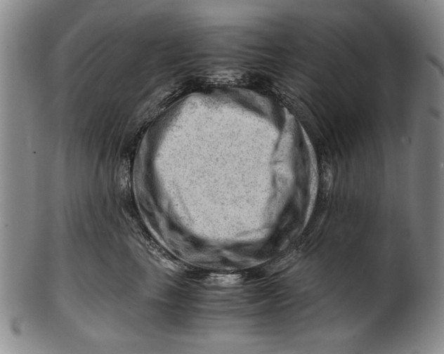 X0000101960665200808081529