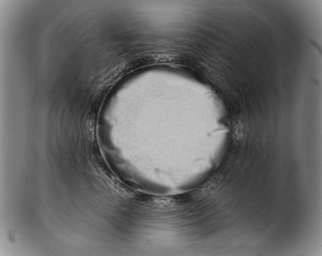 X0000101960666200808081529
