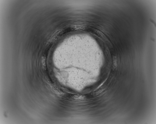 X0000101960667200808081529
