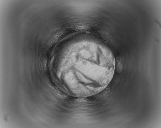 X0000101960668200808081529