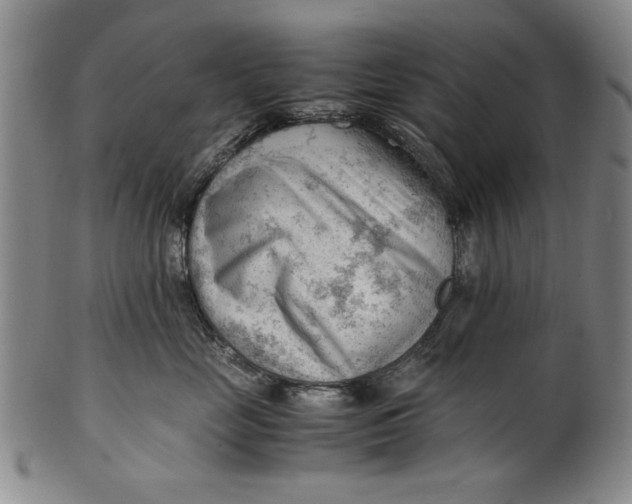X0000101960669200808081529