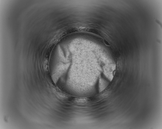 X0000101960671200808081529
