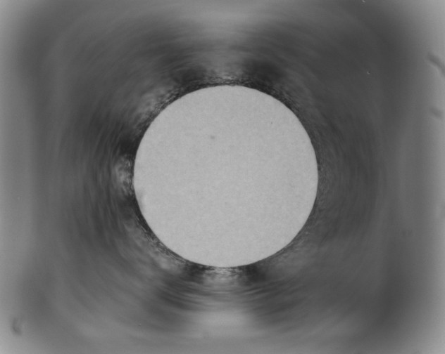 X0000101960672200808081529