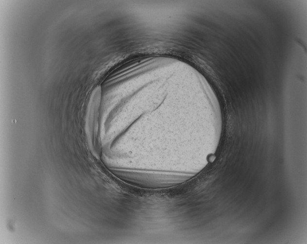 X0000101960673200808081529