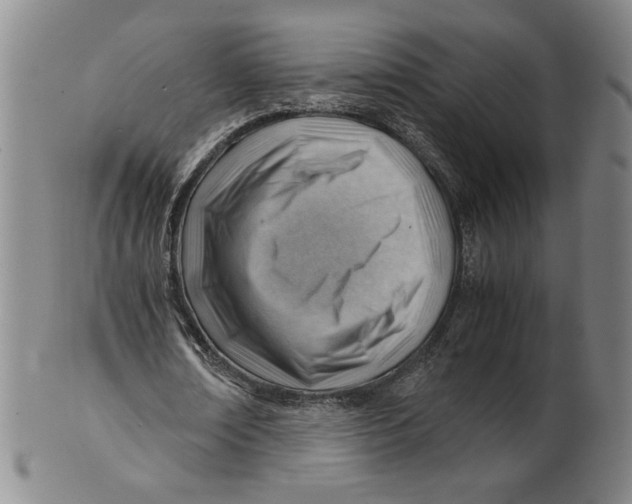 X0000101960674200808081529