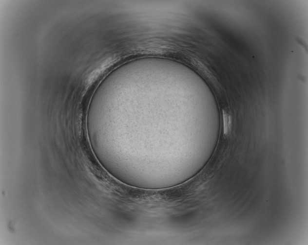 X0000101960675200808081529