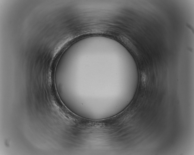 X0000101960676200808081529