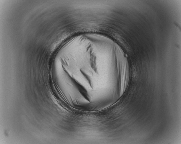 X0000101960677200808081529