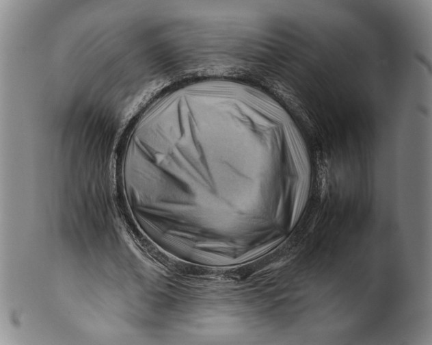 X0000101960678200808081529