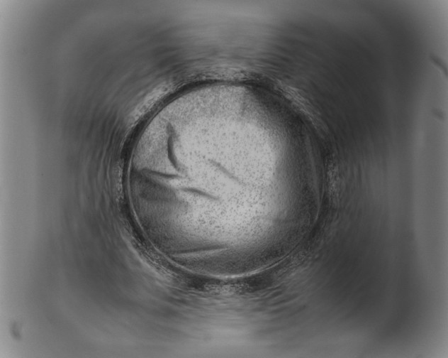 X0000101960679200808081529