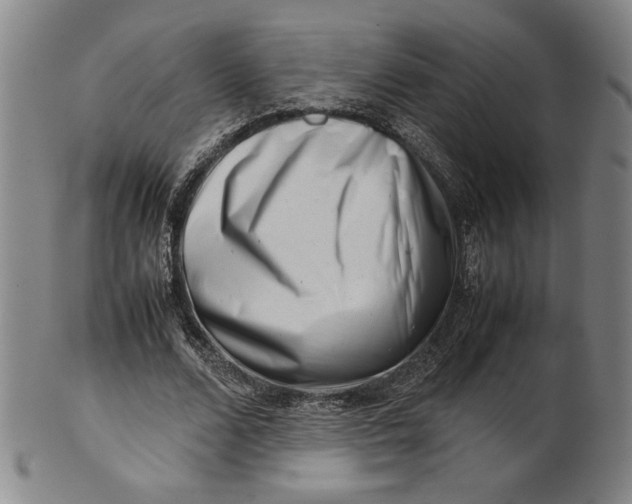 X0000101960680200808081529