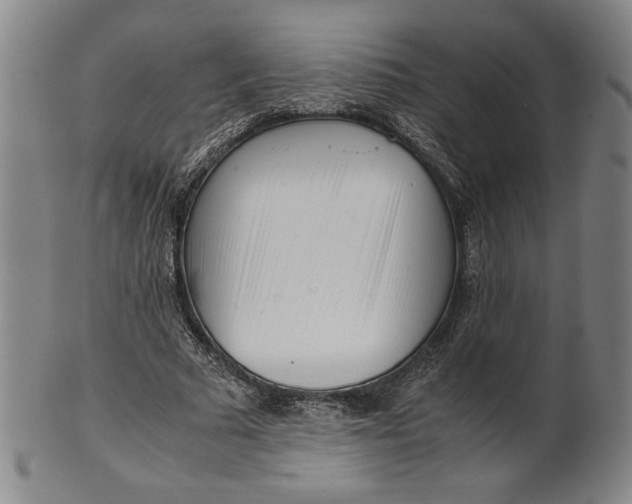 X0000101960681200808081529