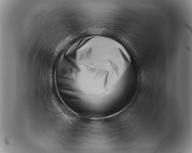 X0000101960682200808081529