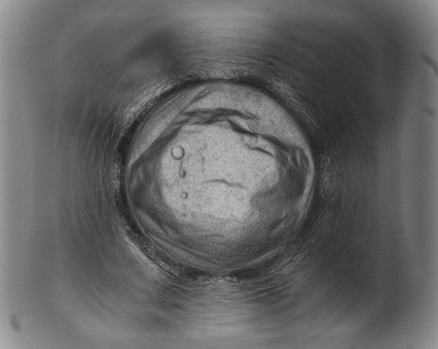 X0000101960683200808081529