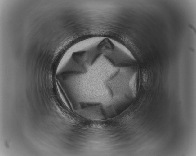 X0000101960684200808081528