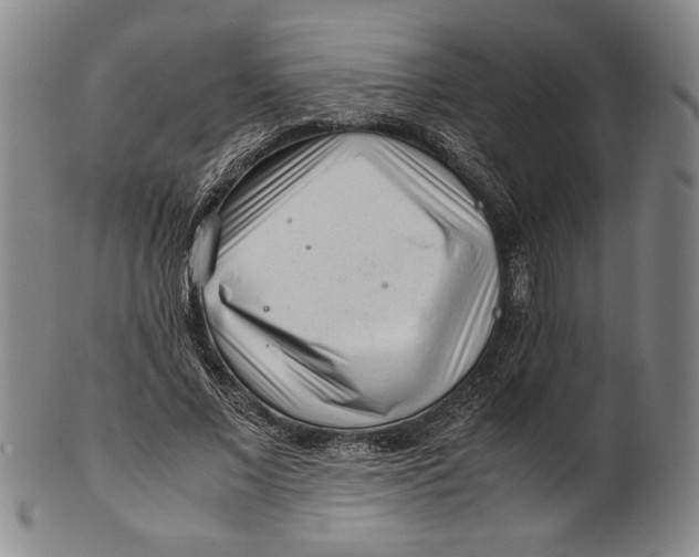 X0000101960685200808081528