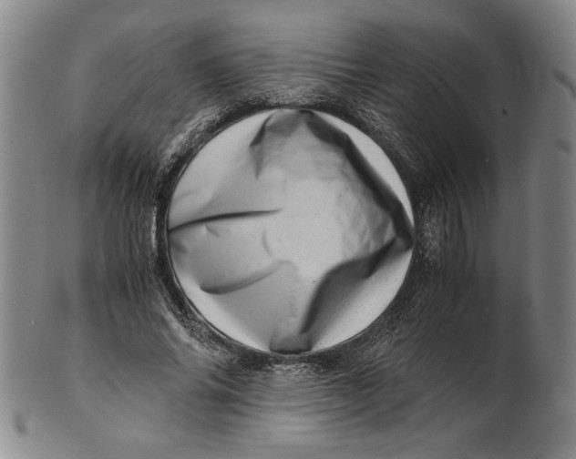 X0000101960686200808081528