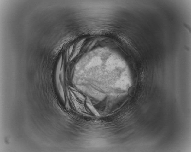 X0000101960687200808081528