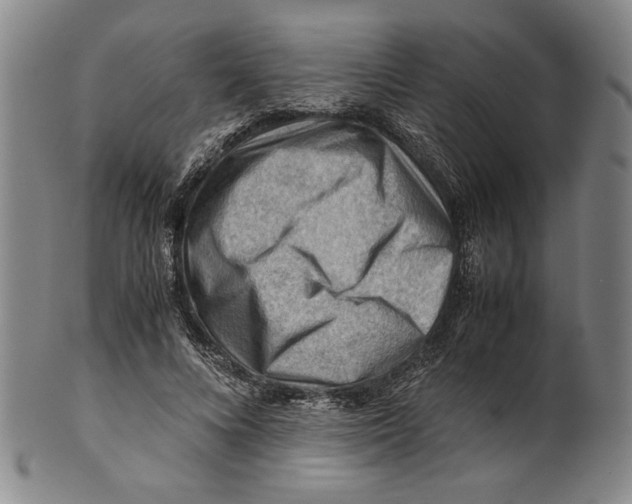 X0000101960688200808081528