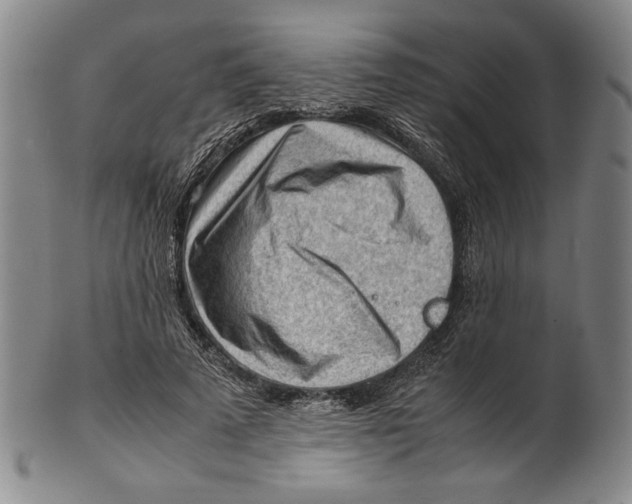 X0000101960689200808081528