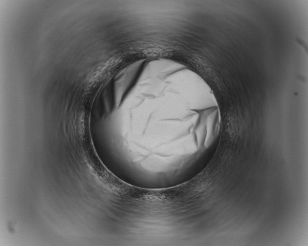 X0000101960690200808081528