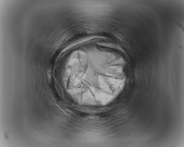 X0000101960691200808081528