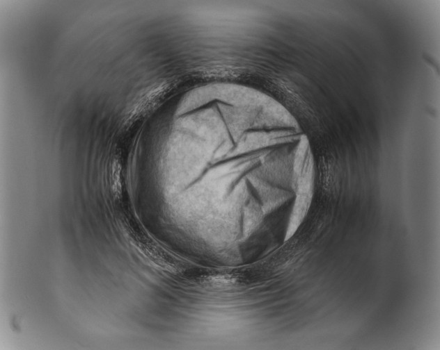 X0000101960692200808081528