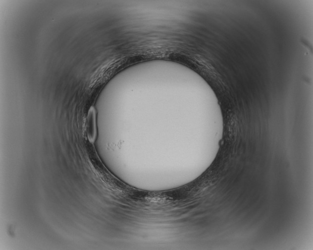 X0000101960693200808081528