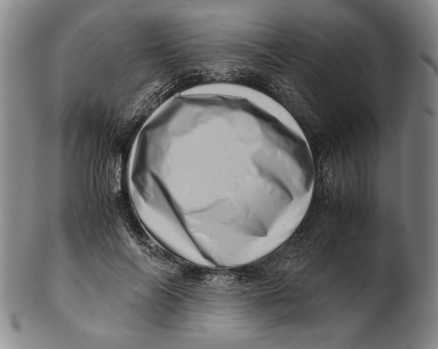 X0000101960694200808081528