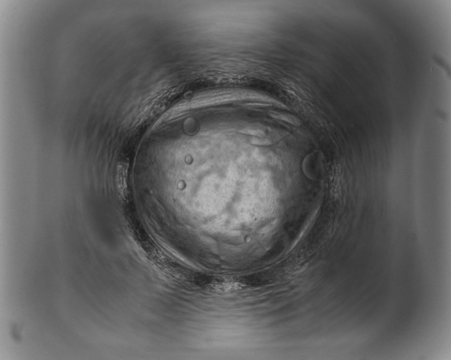 X0000101960695200808081528