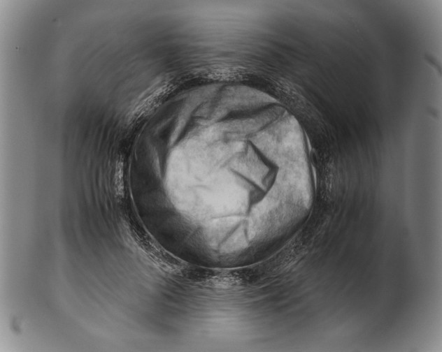 X0000101960696200808081528