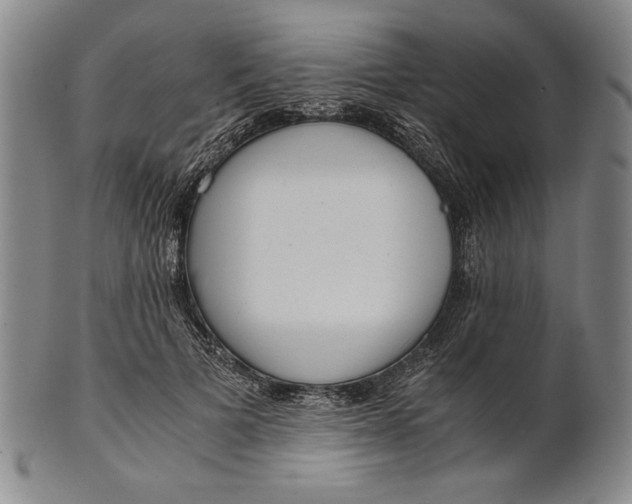 X0000101960697200808081528