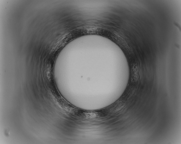 X0000101960698200808081528