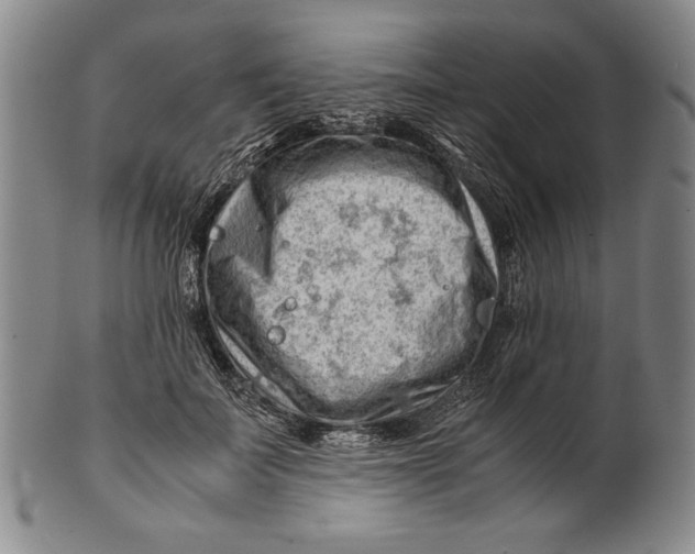 X0000101960699200808081528