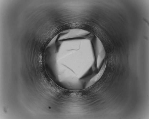 X0000101960700200808081528