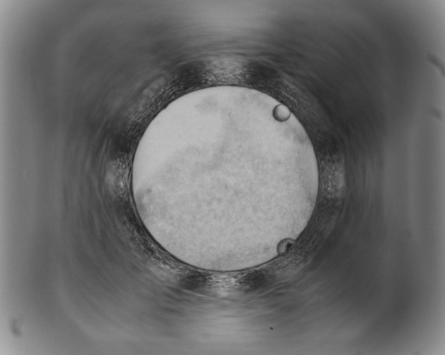 X0000101960701200808081528