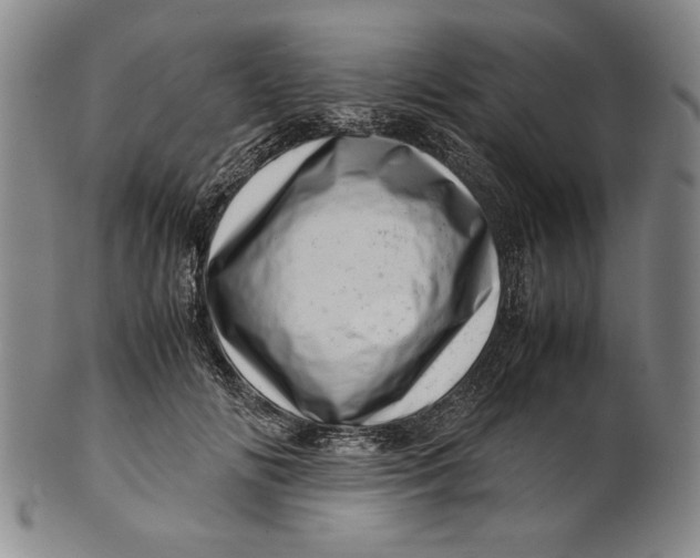 X0000101960702200808081528