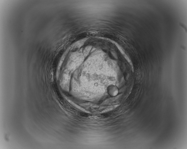 X0000101960703200808081528