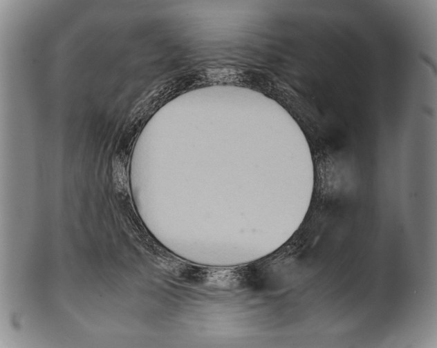 X0000101960705200808081528