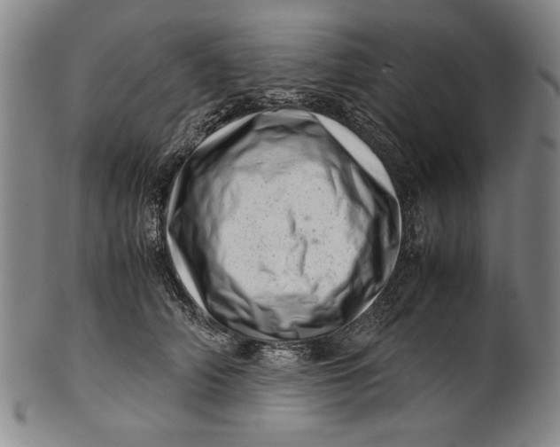 X0000101960706200808081528