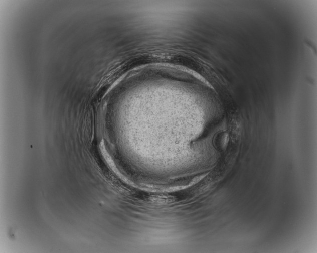 X0000101960707200808081528