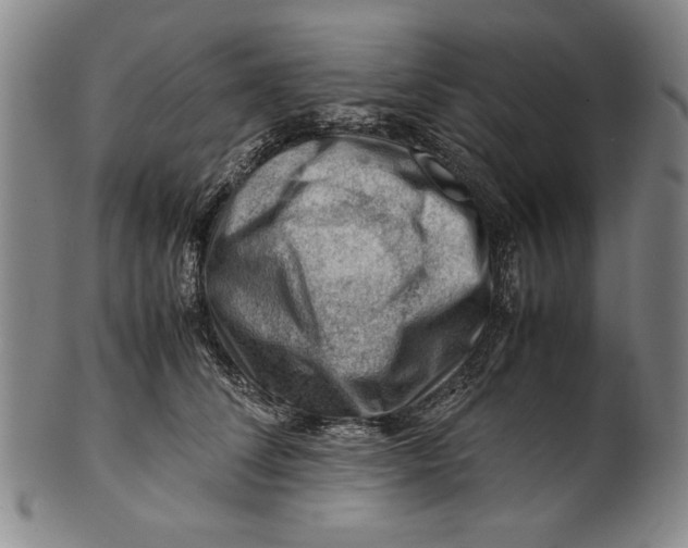 X0000101960708200808081528